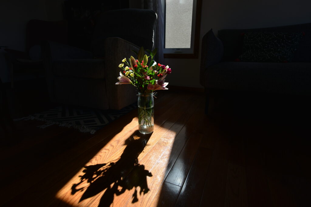 a bouquet of flowers standing in a glass jar half filled with water; the jar is standing on a wooden floor. Its shadow is well defined due to afternoon sun shining through the window behind it 
